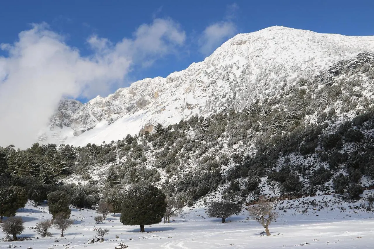 Campsite Babakamp Eco Ranch & Retreat Hotel Fethiye
